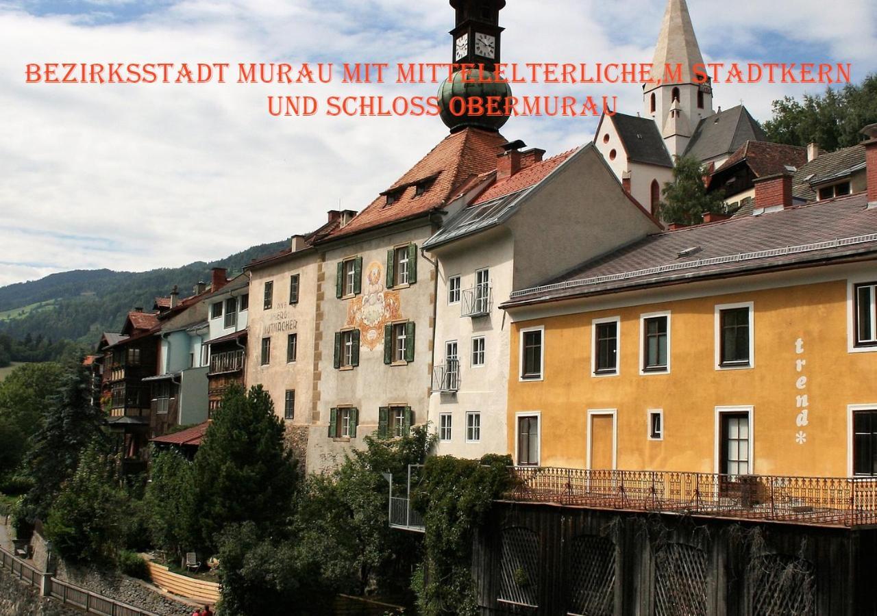 Fewo Gabi Haus Pacher Sankt Peter am Kammersberg Exterior photo